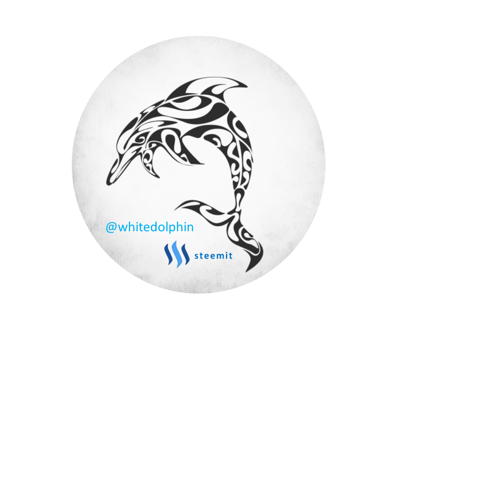whitedolphin steemit logo final5.png