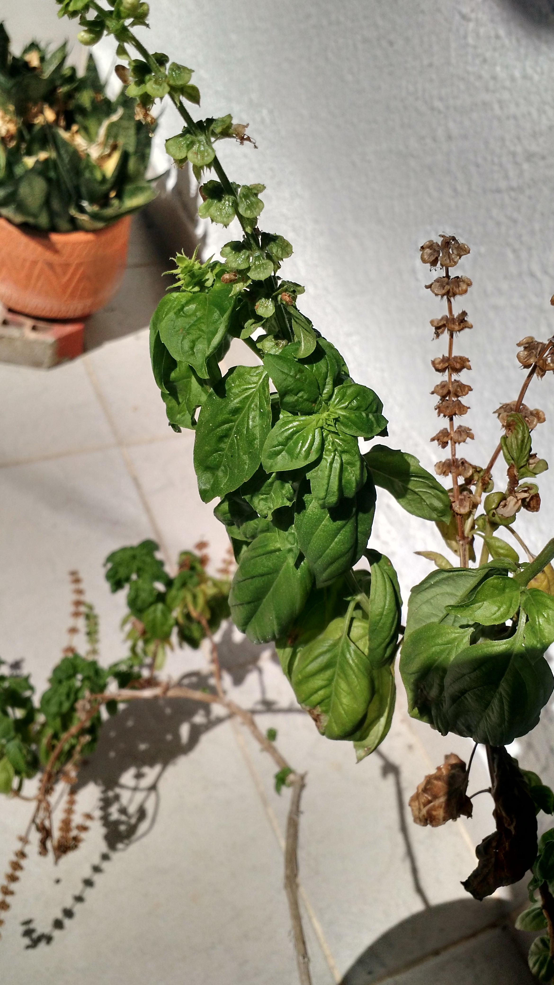 IMG_20180221_100332885_HDR (1).jpg