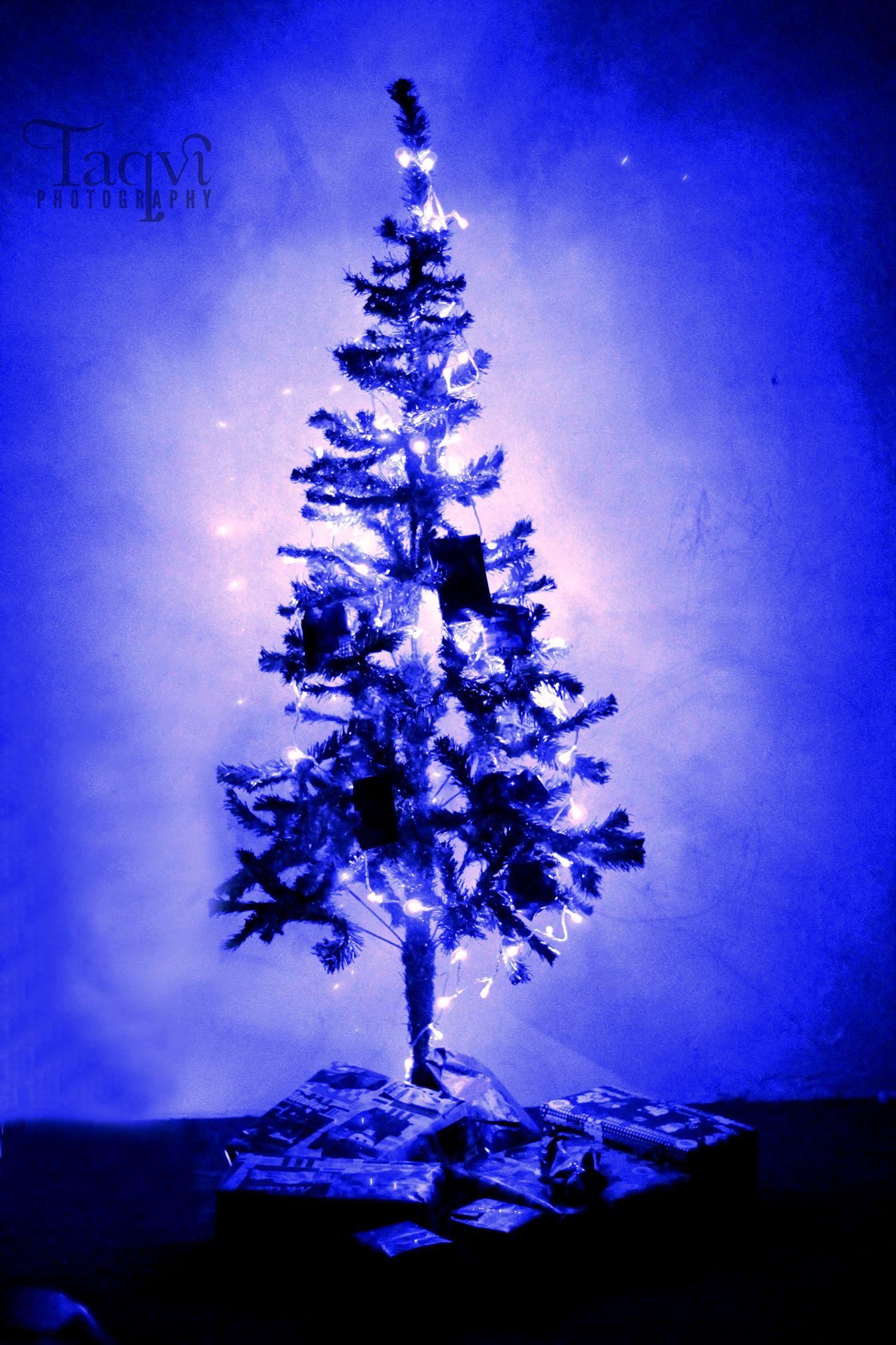 Christmas tree Editted.jpg