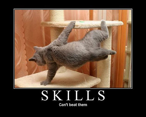 cat-motivational-poster_22.jpg