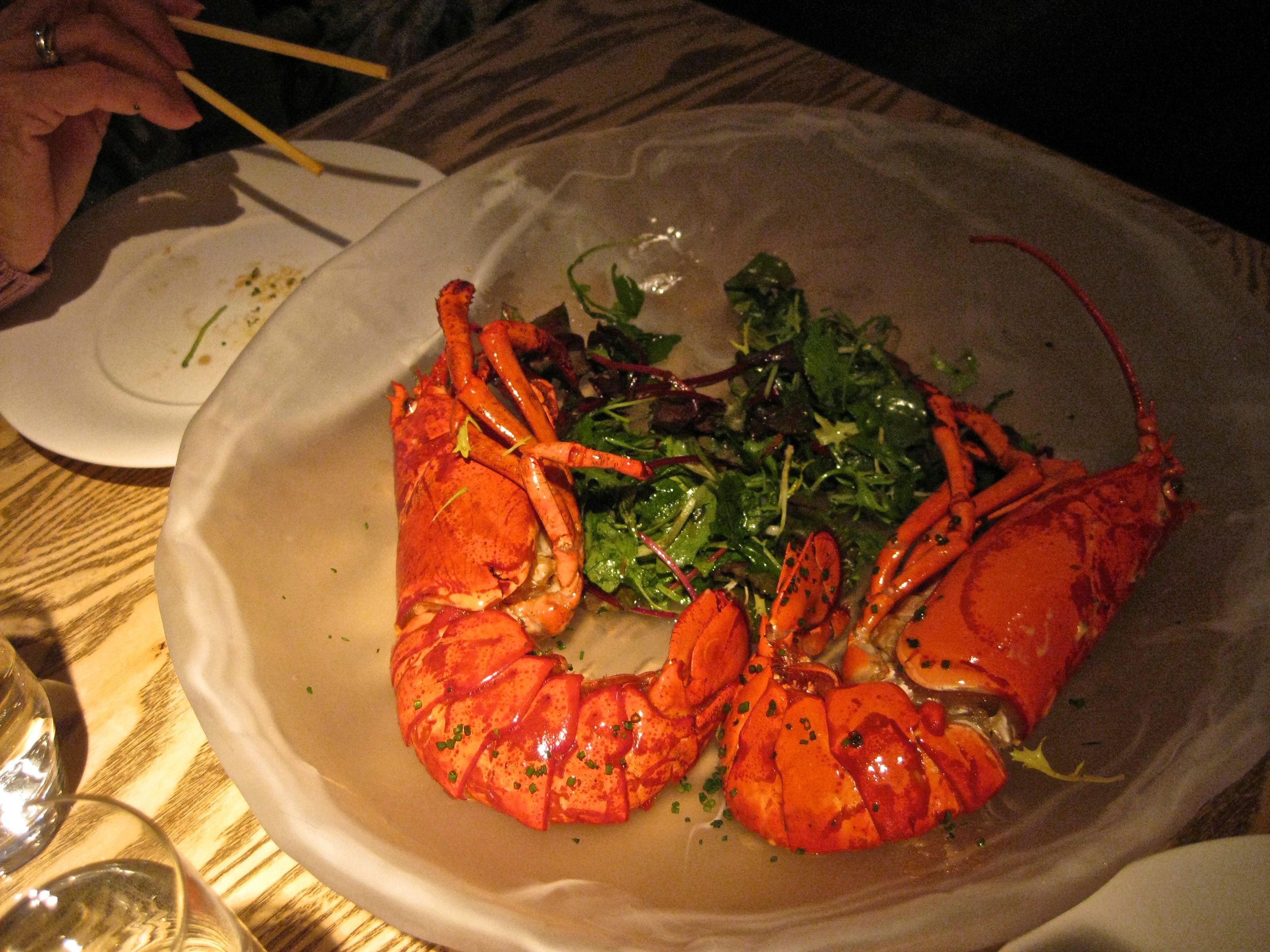 Starter lobster. What a color! Only nature can provide this colors!.jpg