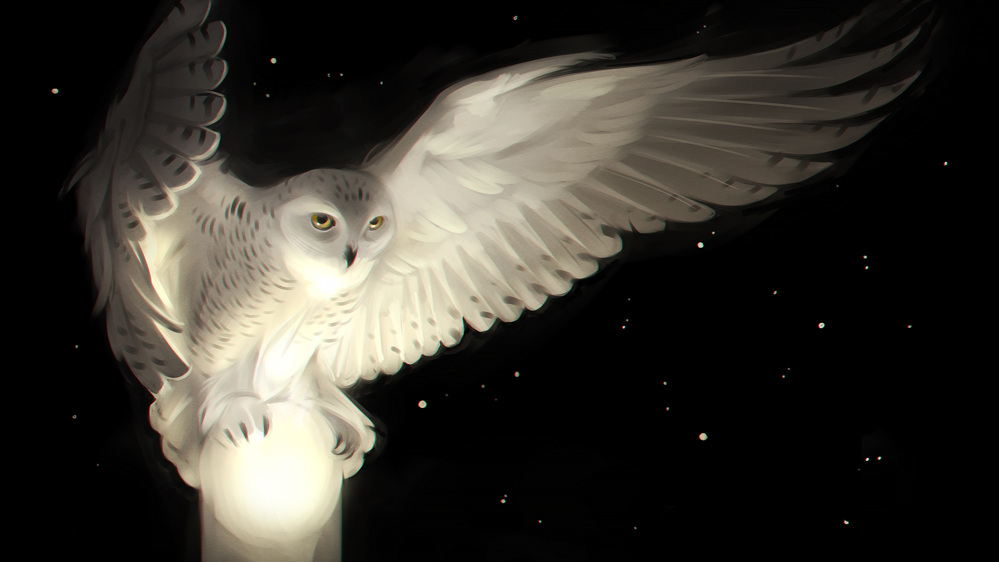 white-owl-3425x1926-artwork-hd-7037.jpg