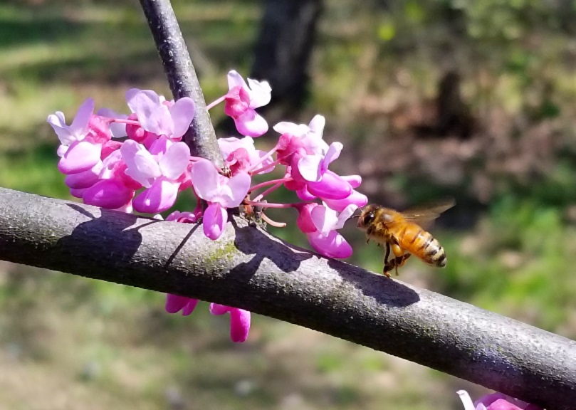 20180427_145222.jpg