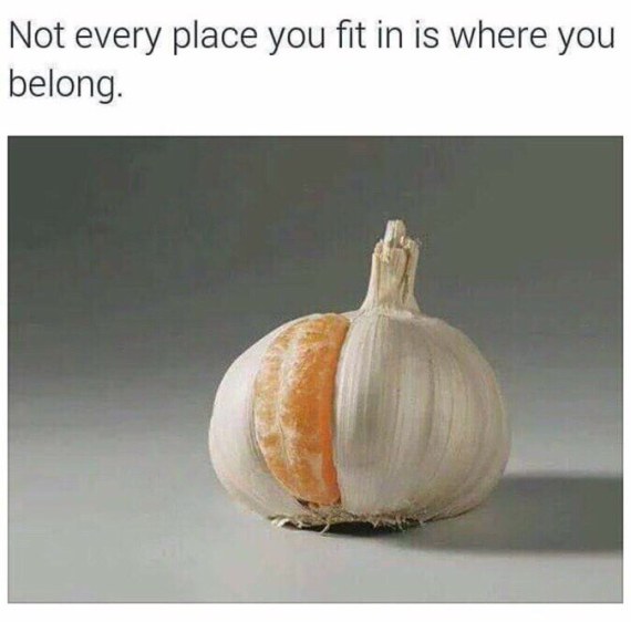 Not-every-place-you-fit-in-is-where-you-belong.jpg