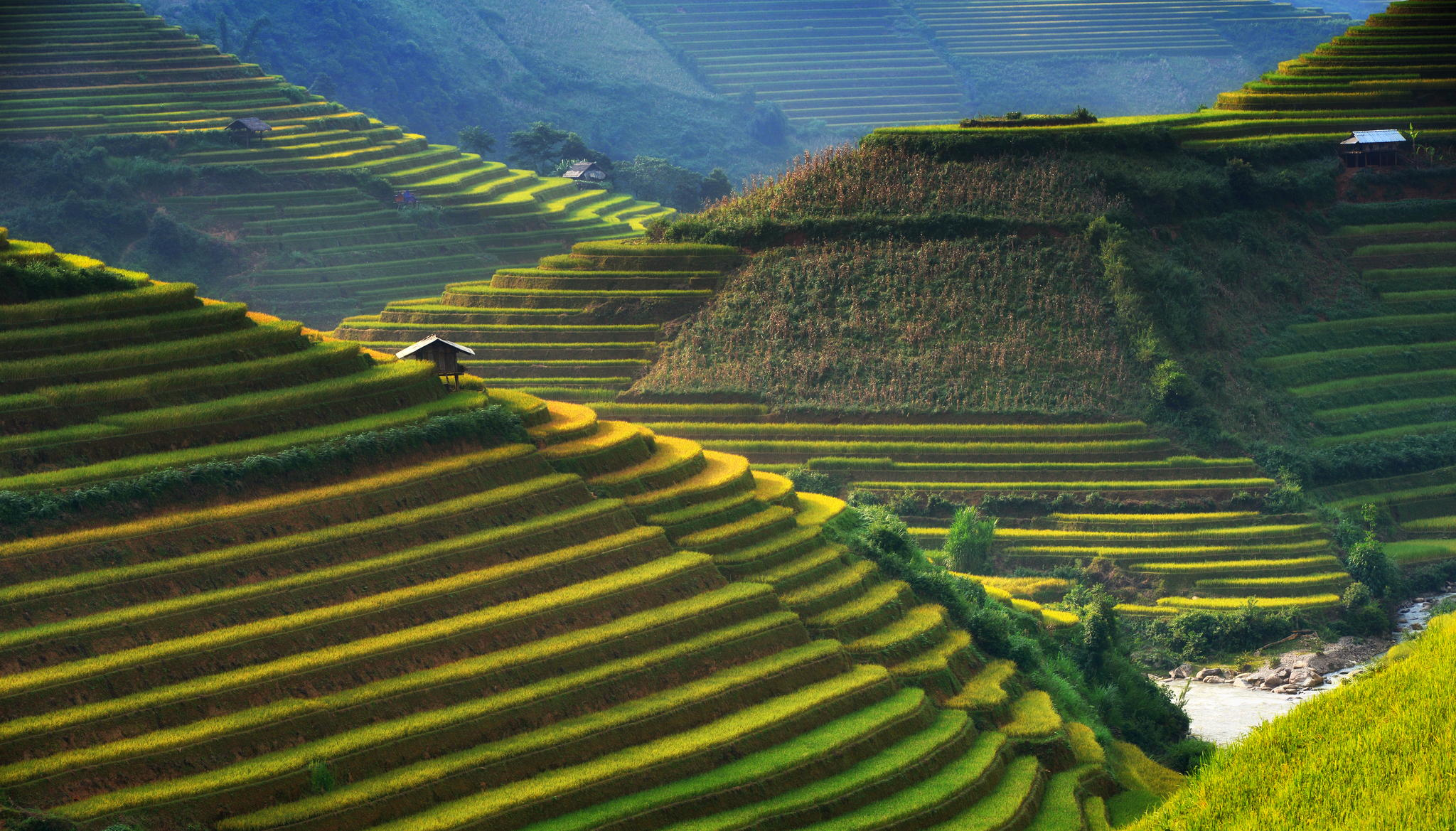 Mu-Cang-Chai-Vietnam.jpg