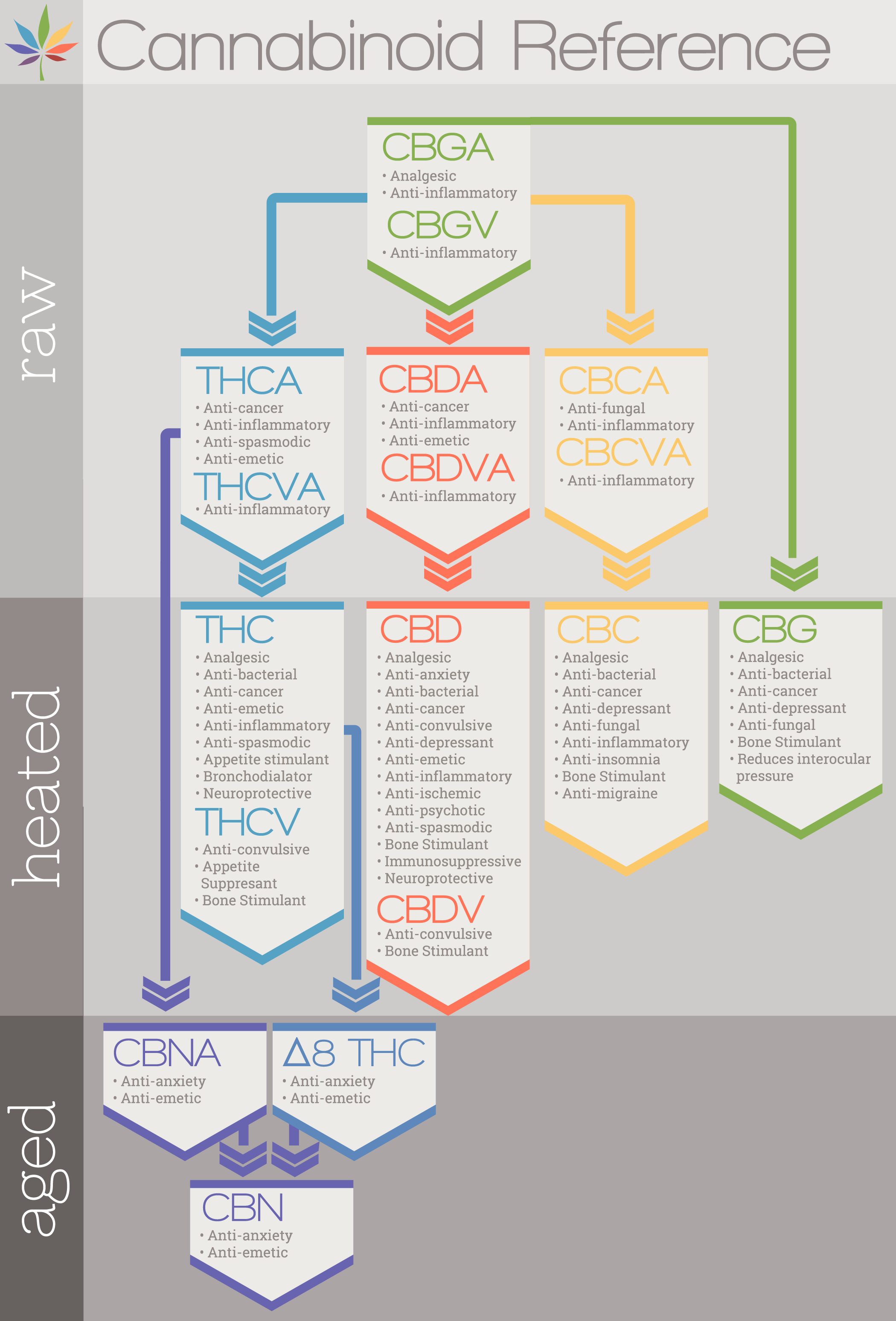 Convulsive. Convulsive shop. THC A Decarb. Your response to cannabinoids and Chart your own Path to Wellness..