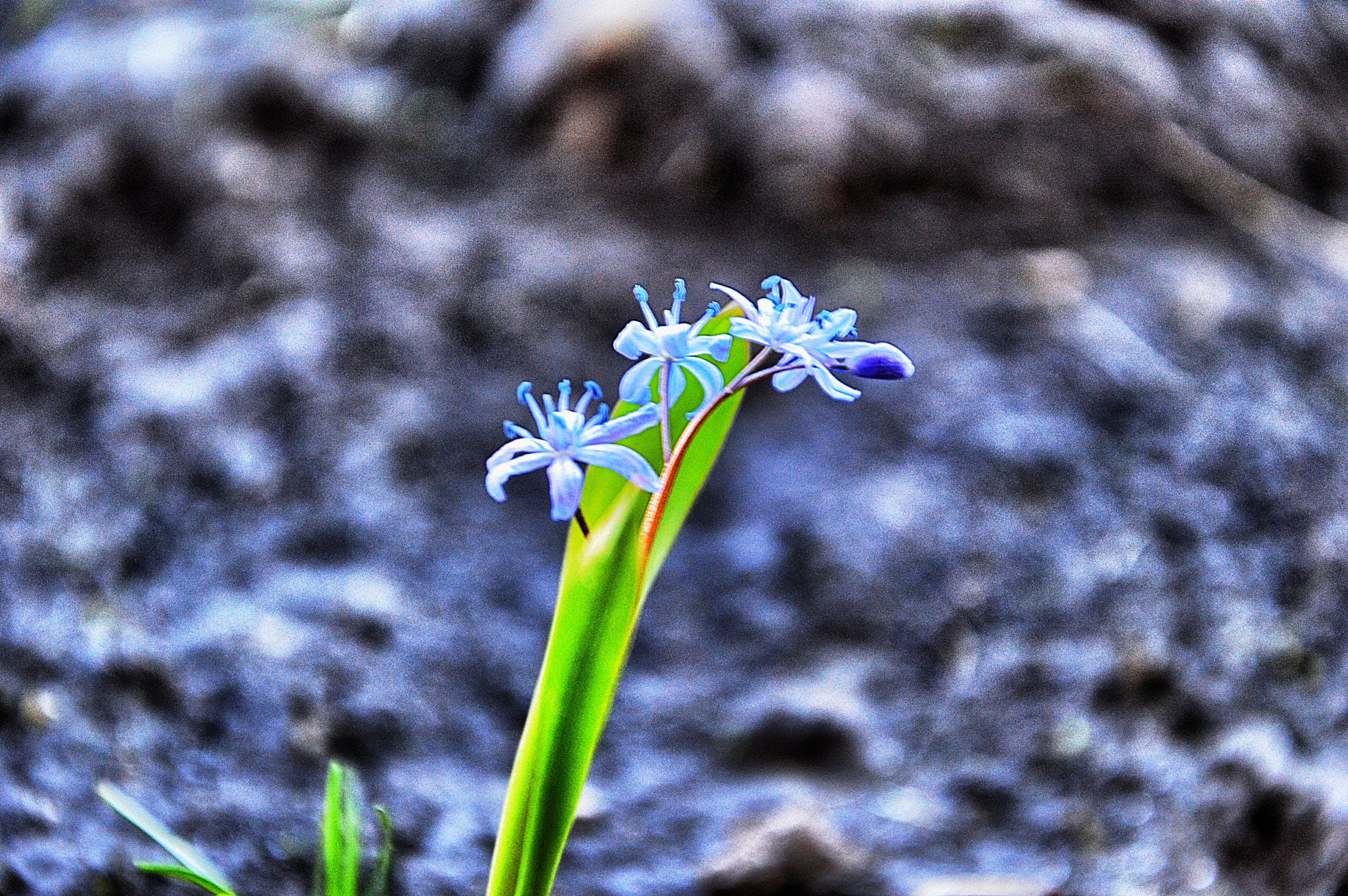 DSC_0043_Snapseed остат.jpg