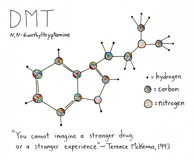 DMT1.jpg