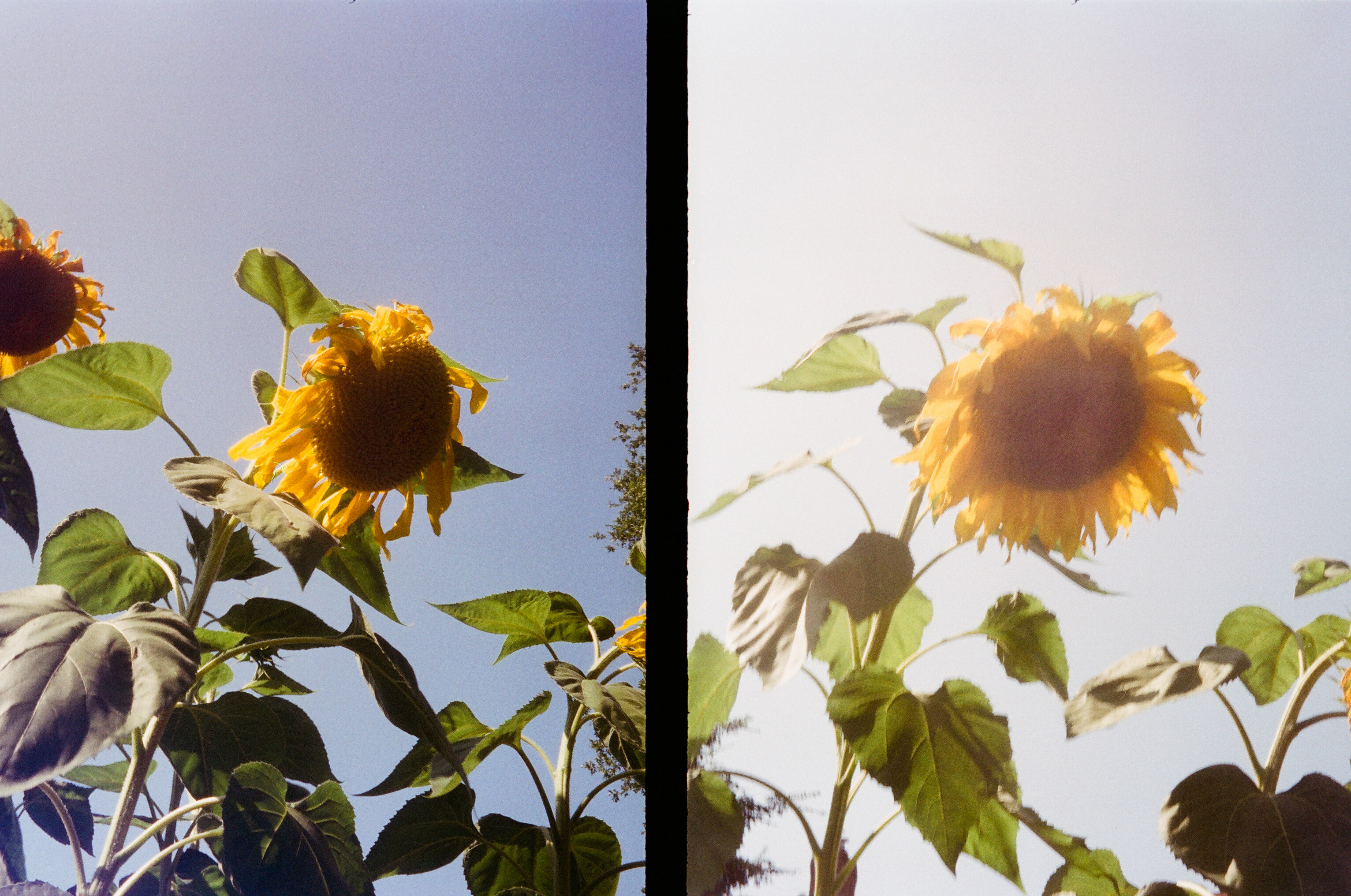 08530018.jpg