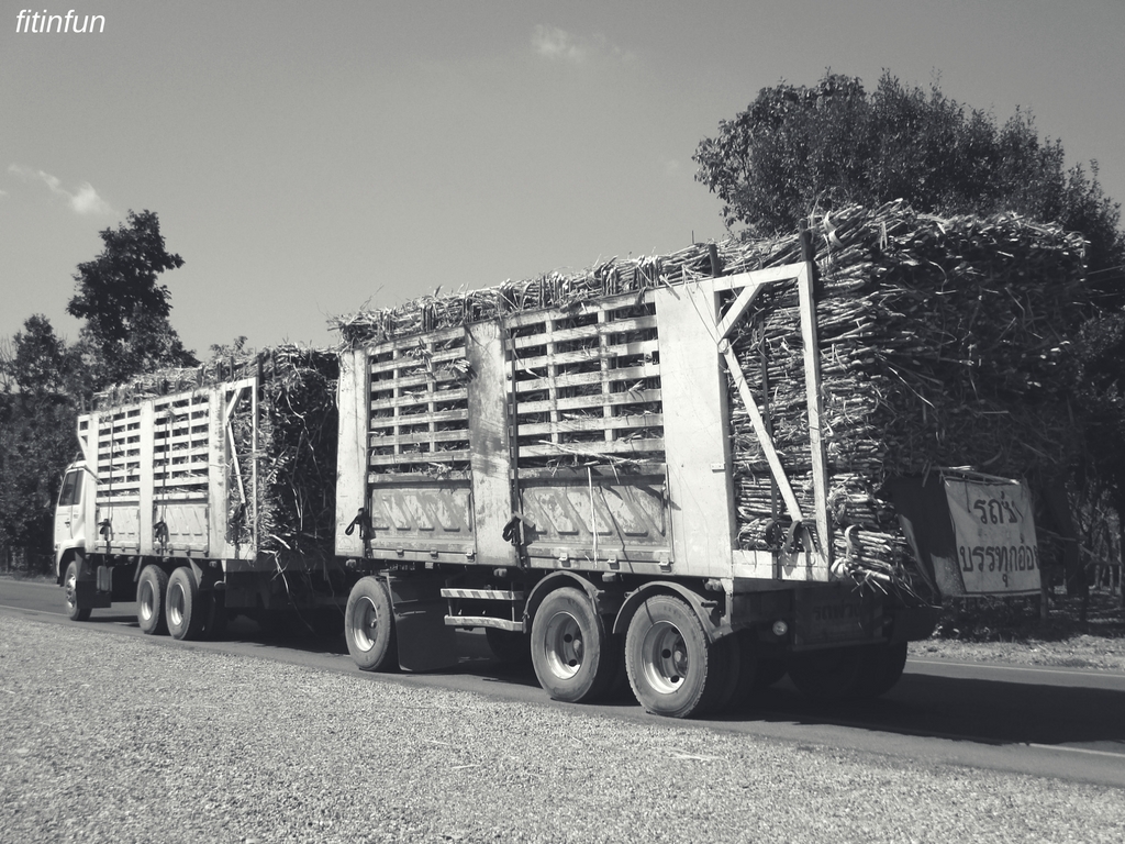 Broken Down Sugar Cane Truck Northern Thailand monochrome monday fitinfun.jpg