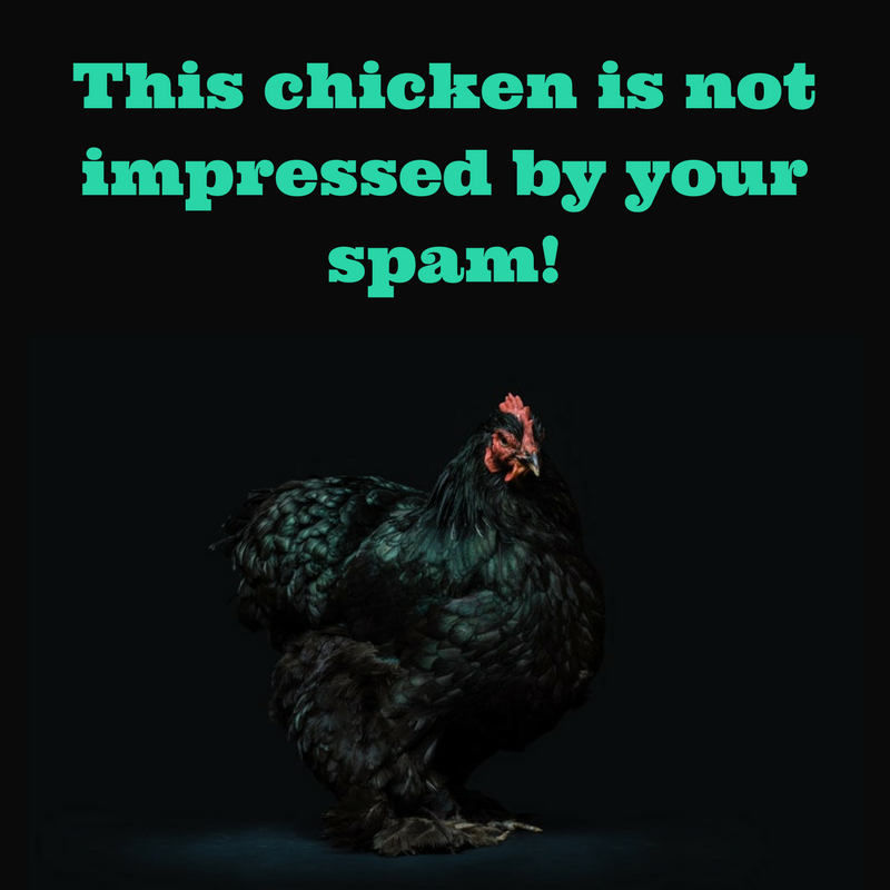 This chicken is not impressed by your spammy ways! Stop it!.png