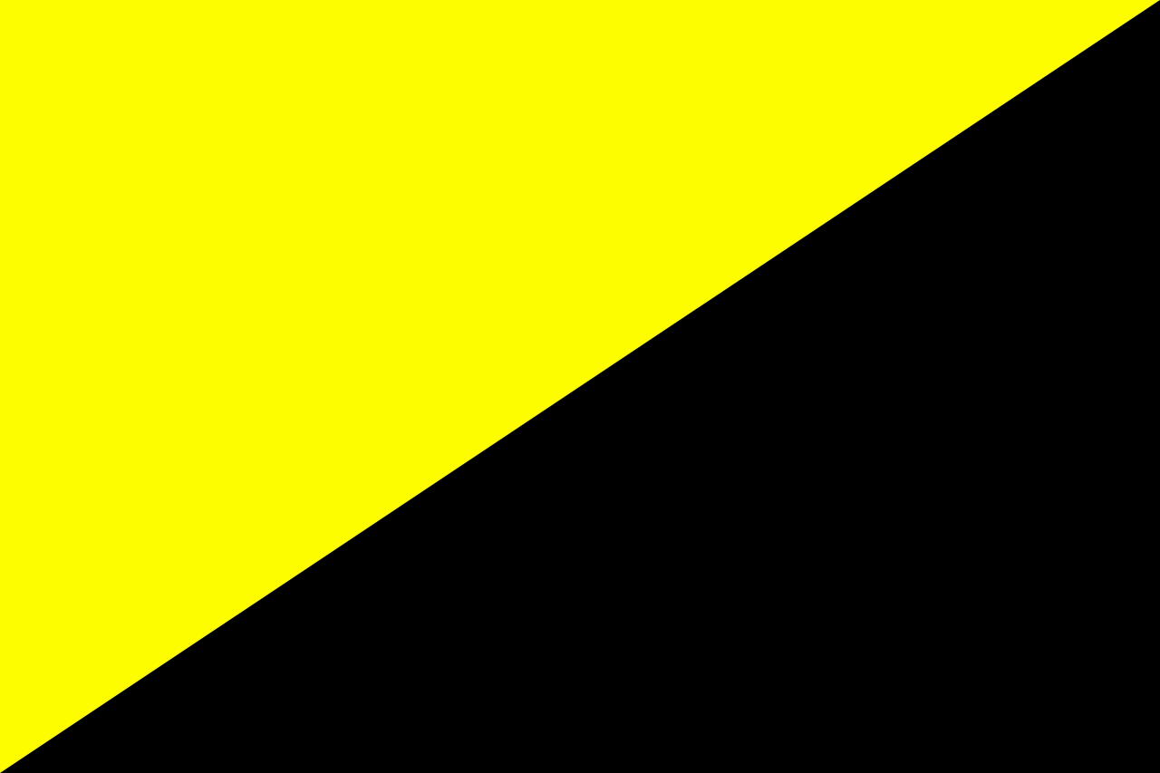 Flag_of_Anarcho-capitalism.svg.png