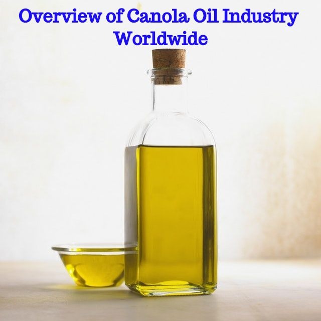 Canola Oil Market.jpg