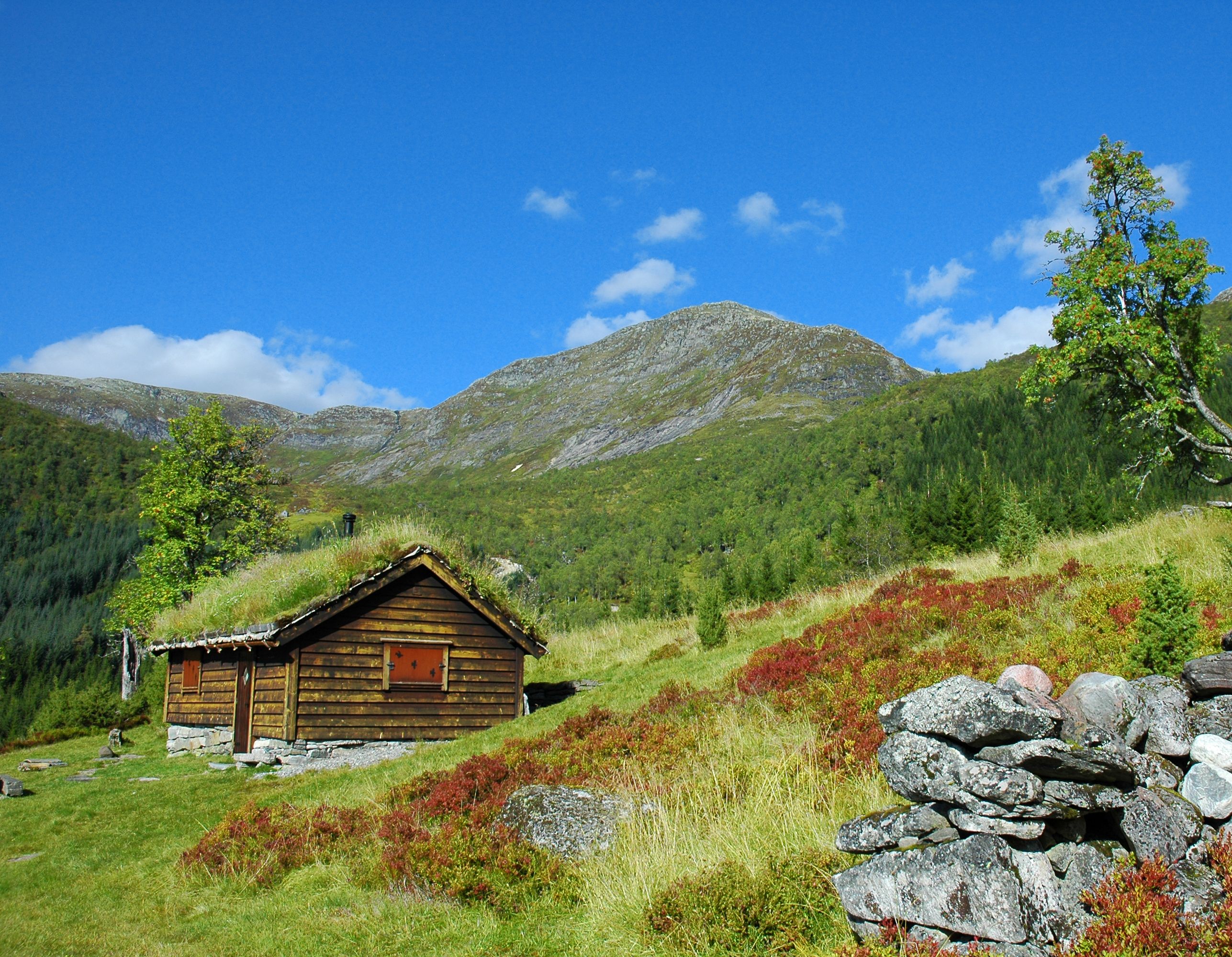 Norwegian cabin in autumn colors