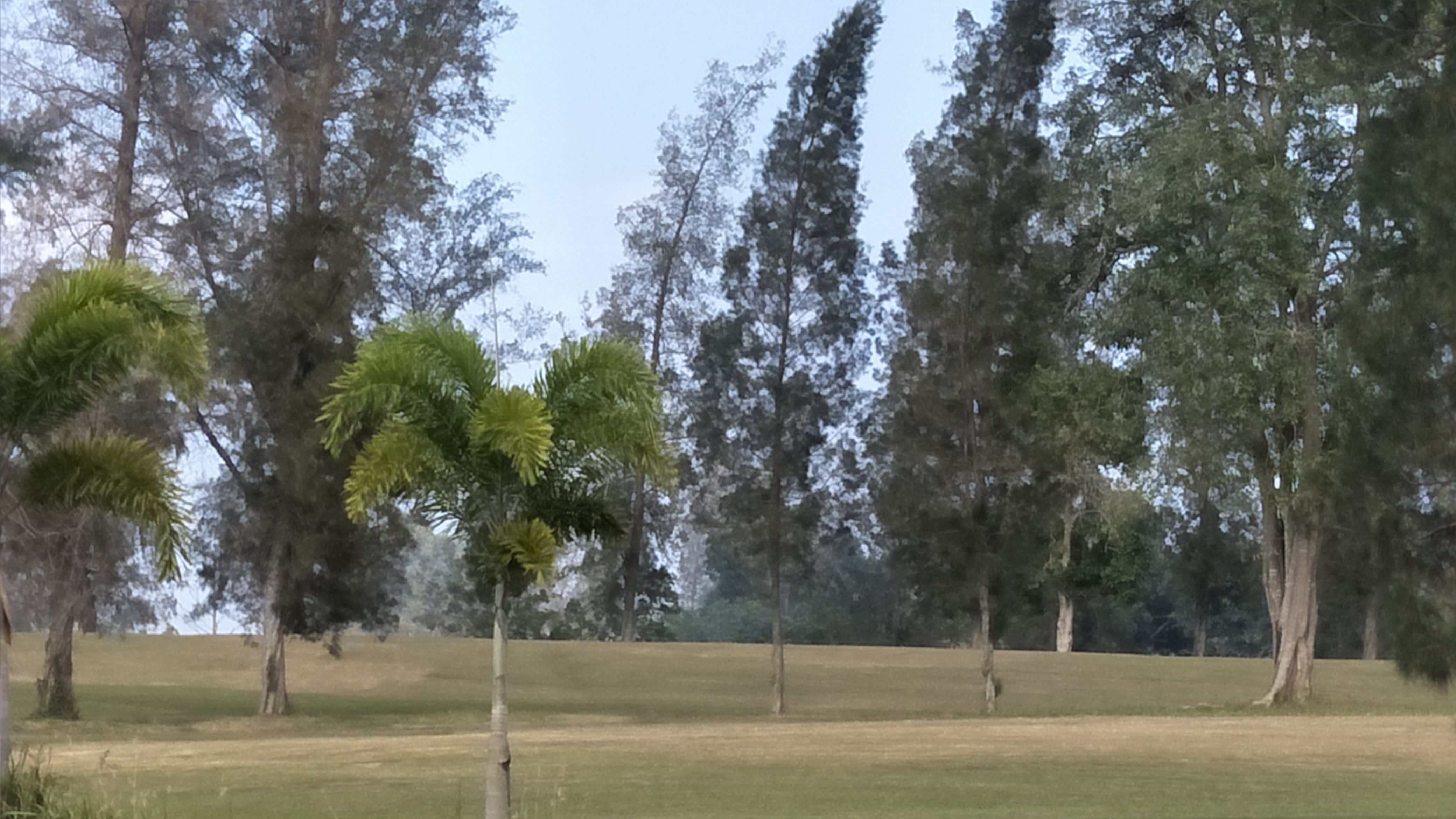 IMG20180217161452.jpg