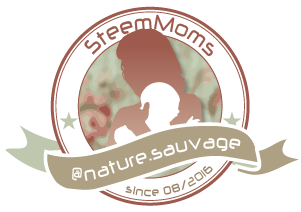 steemit-dads-naturesauvage-small.png