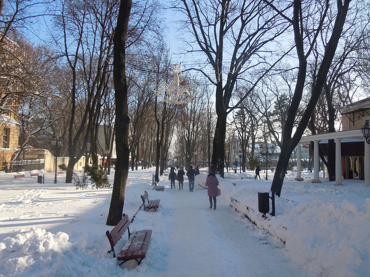 Городской_сад_Одессы,_зимний_день.jpg