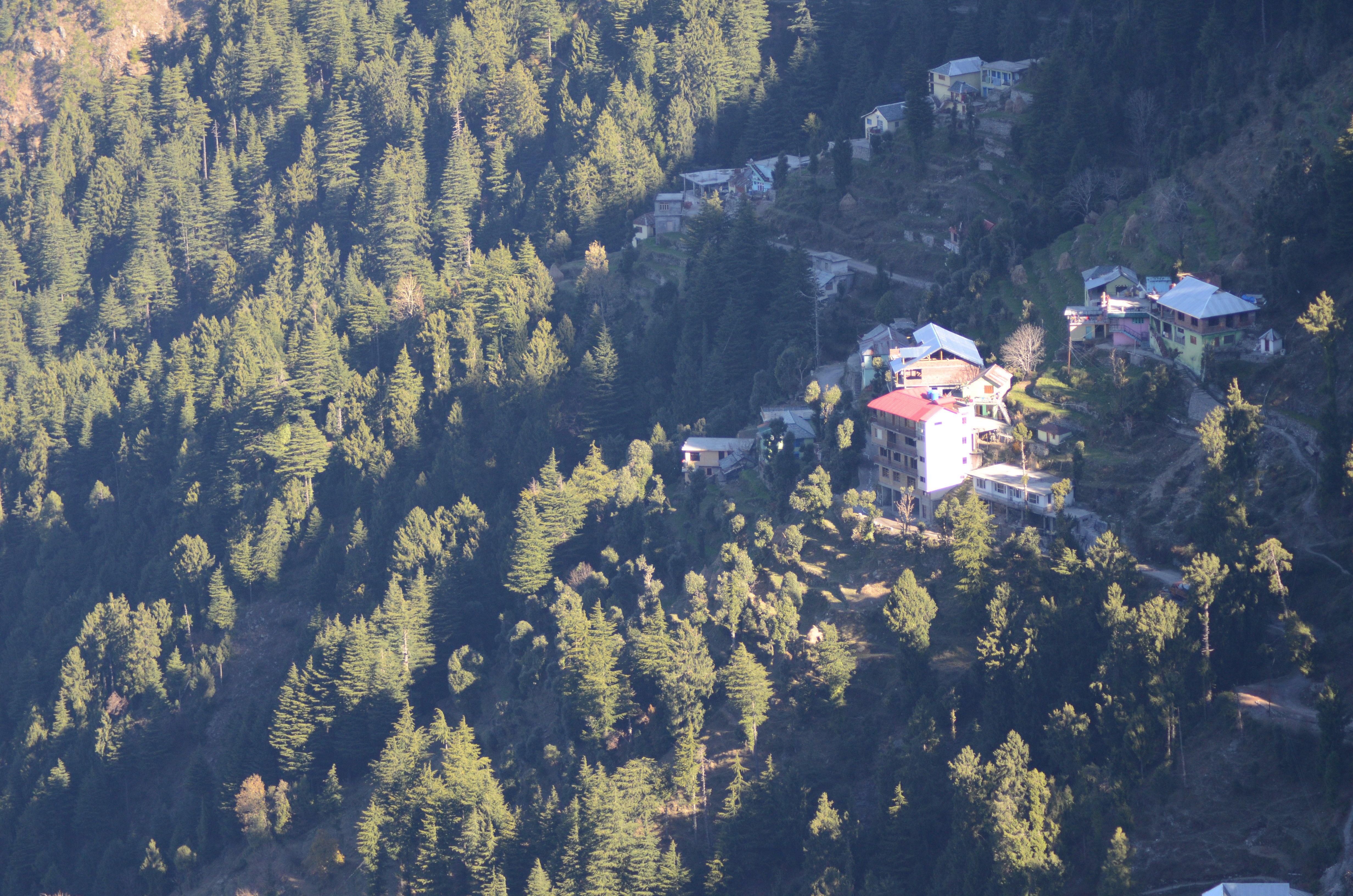 DSC_1152.JPG