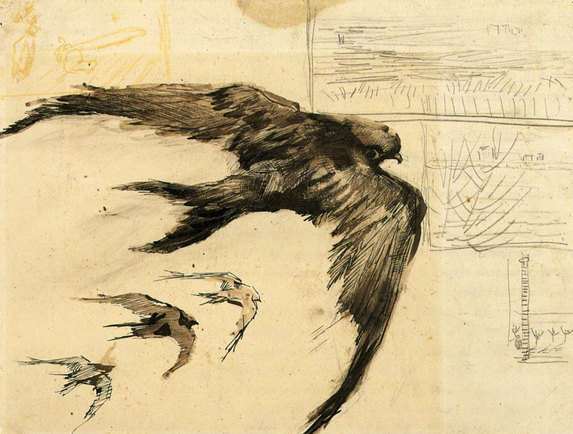 Four Swifts with Landscape Sketches, 1887.jpg