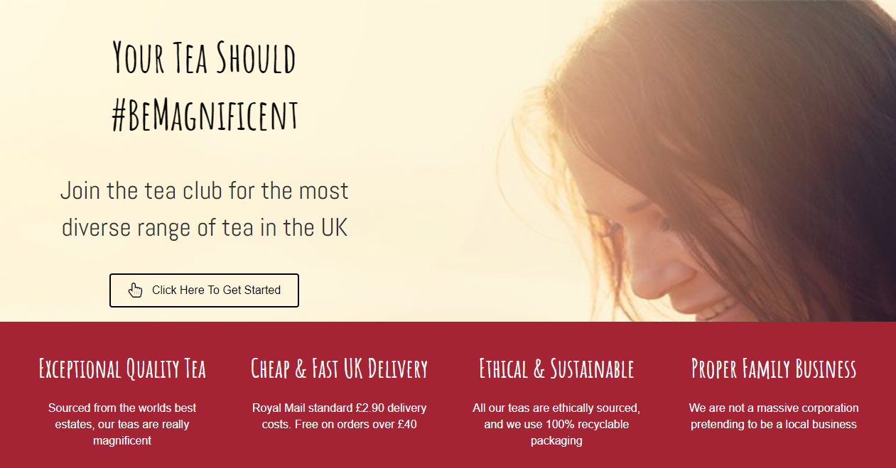 FireShot Capture 5 - Homepage I Magnificent - The Art Of Tea - http___magnificent-tea.co.uk_.png