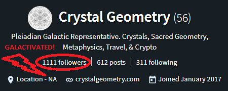 1111 Followers.png
