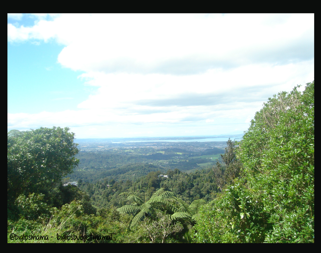 Titirangi.jpg