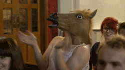 giphy-downsized (8).gif