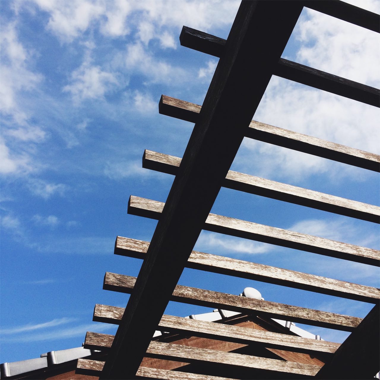 2017-06-21 03.43.58.jpg