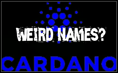 Ijch The Weird Names In The Cardano Project What S Up With That