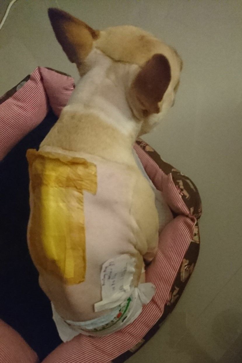 20180312_020555 (2).jpg