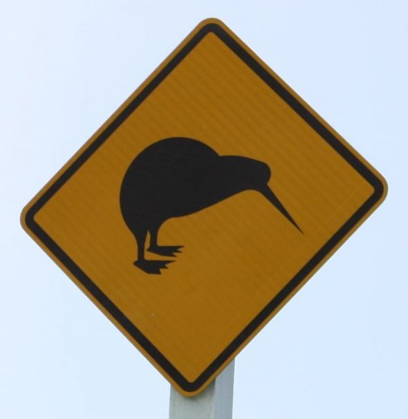 photo_1304126415funny_sign_kiwi.jpg