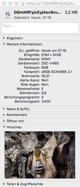 Ohne Titel.png
