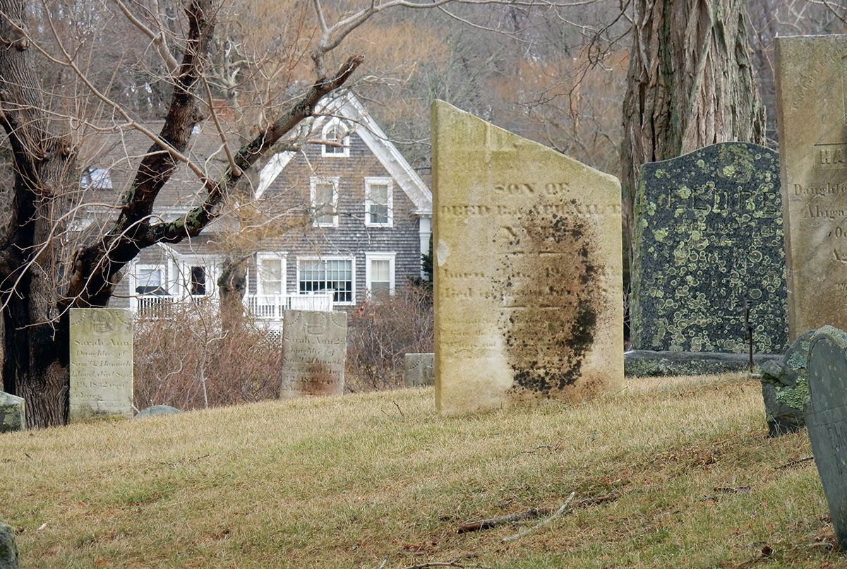 HouseBehind.jpg