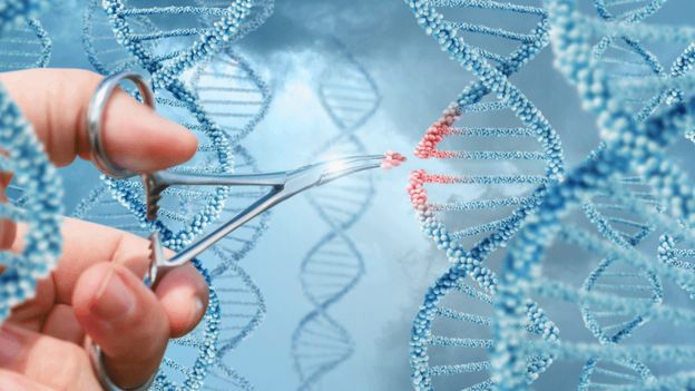 _100154974_geneediting.gif
