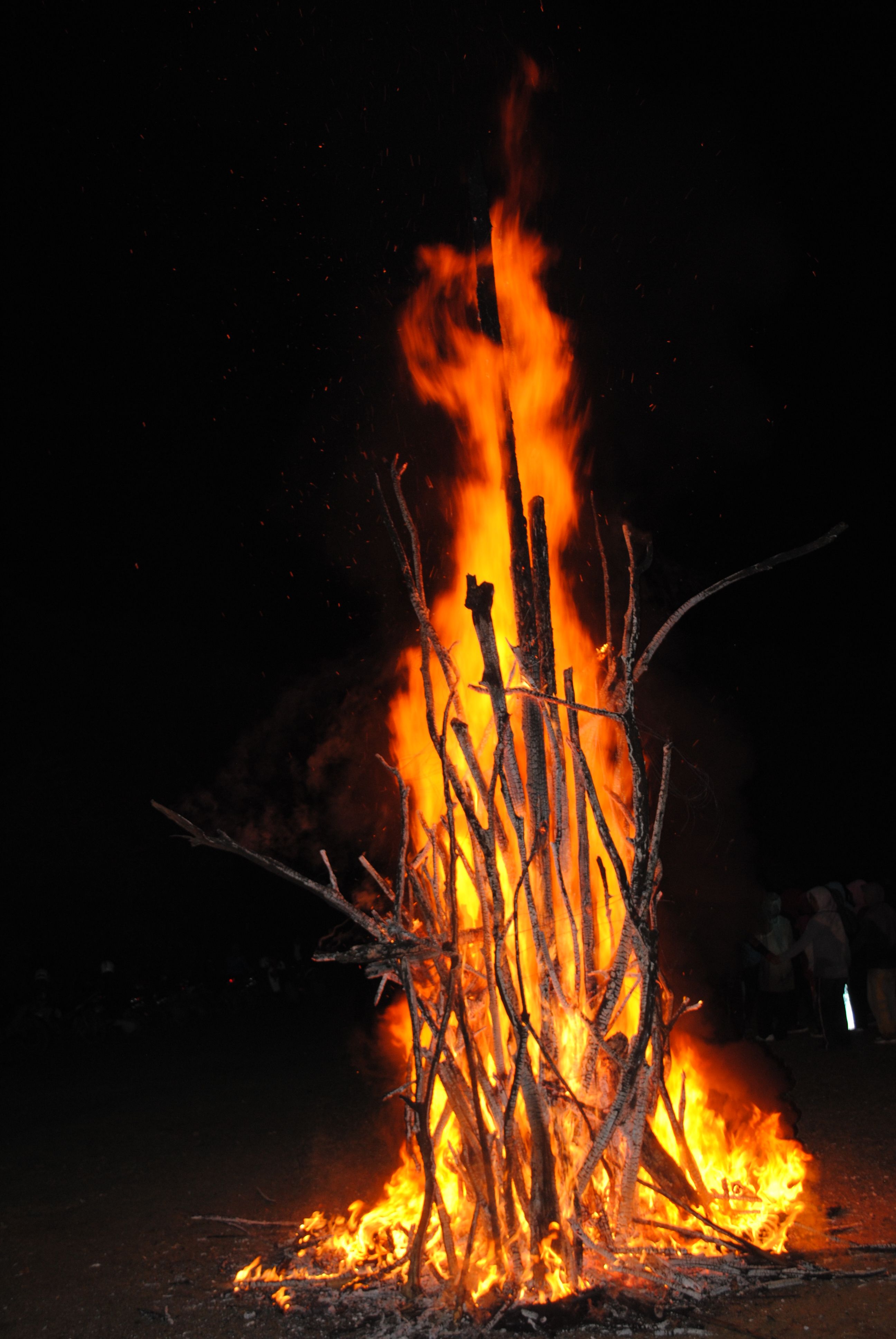 DSC_0427.JPG