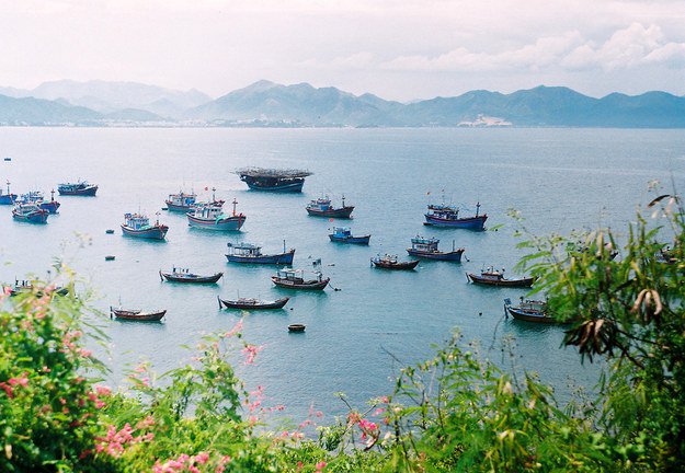 canh_10.jpg