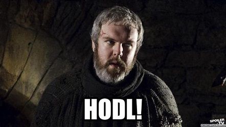 hodl.jpg