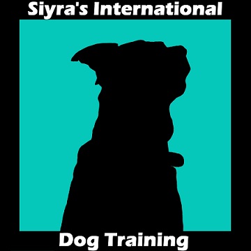 Siyra's logo design Bruce only.jpg
