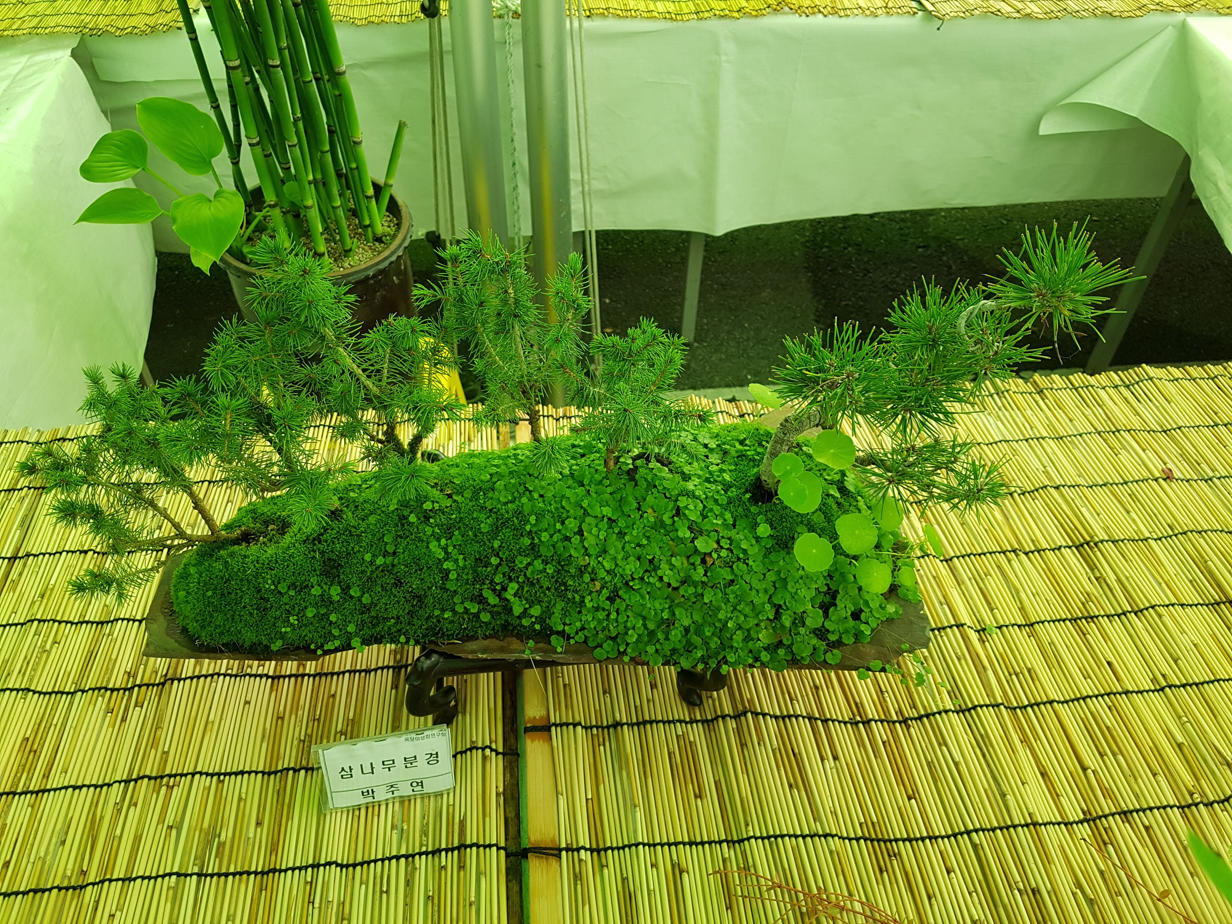 20170917_135857.jpg