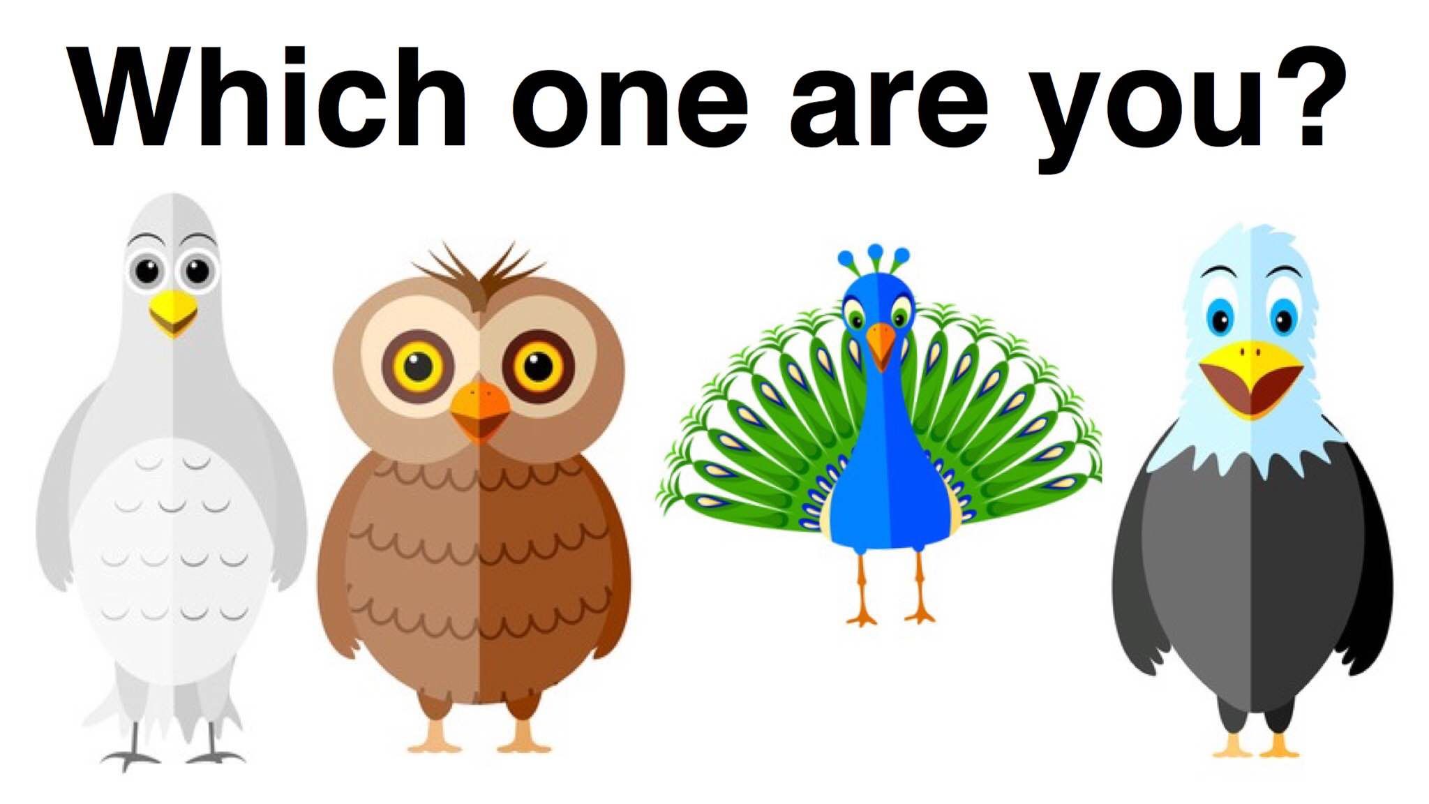bird personality test dove eagle peacock and owl