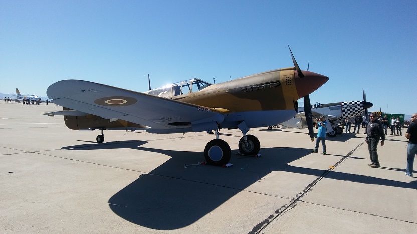 P40 Warhawk.jpg