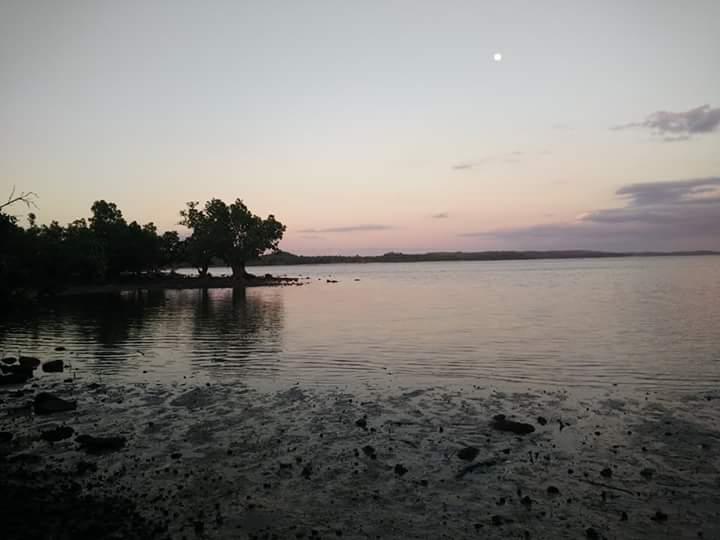 jie28 landscape (9).jpg