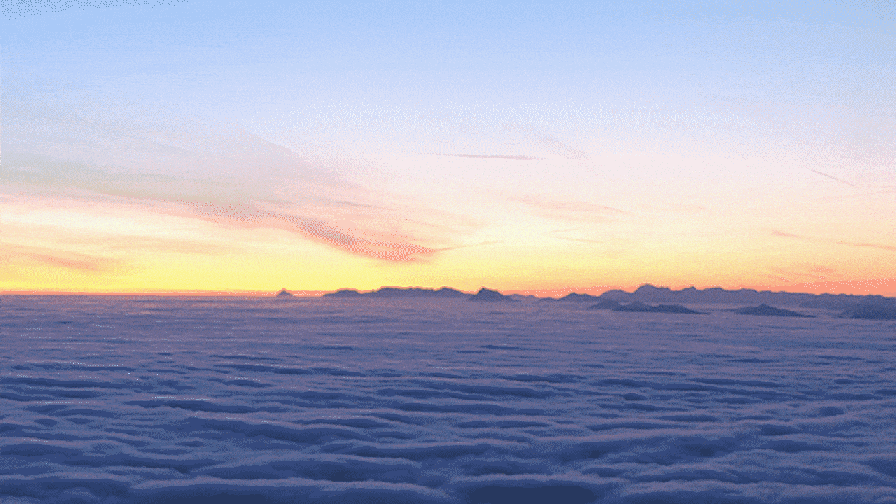 Lossy0700_hu(9).gif