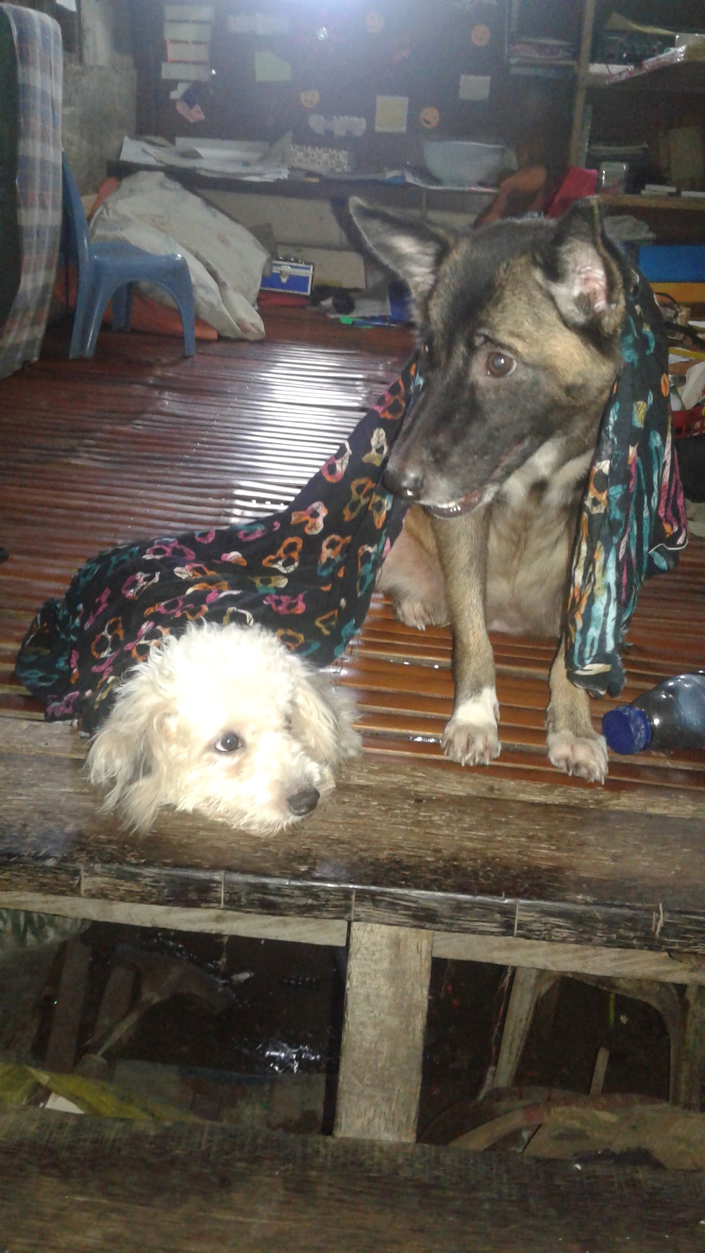 20170116_161814.jpg