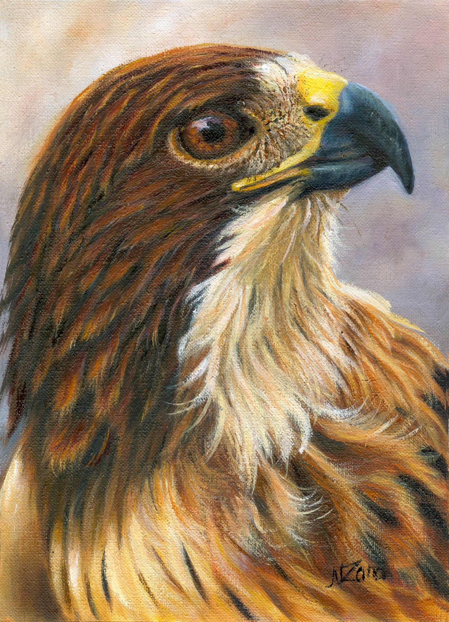 Mora eagle painted in oil — Steemit