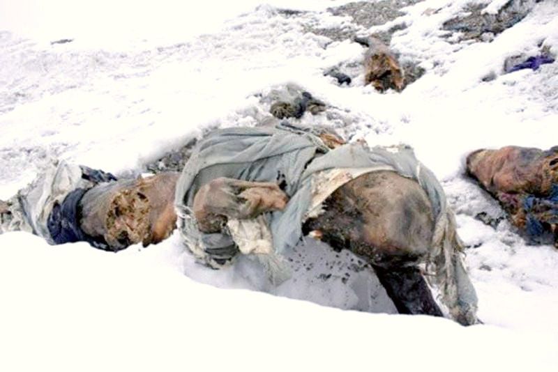 MANY BODY CLIMBERS ARE ABANDONED SO ONLY #10These photos prove the