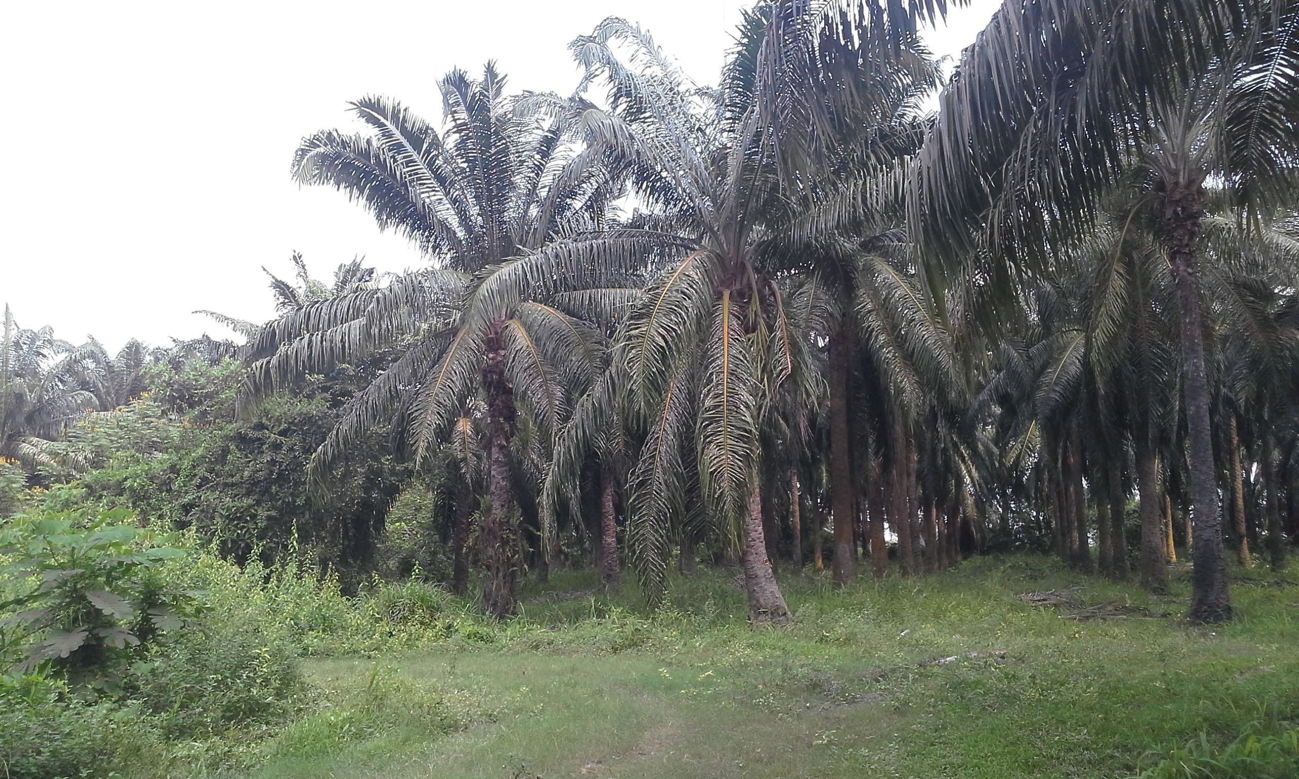 20180112_125317.jpg