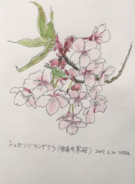 Sketch20170330a.jpg