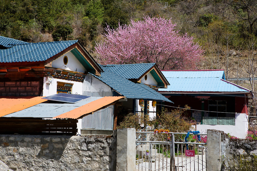 Adventures in Tibet 2.jpg