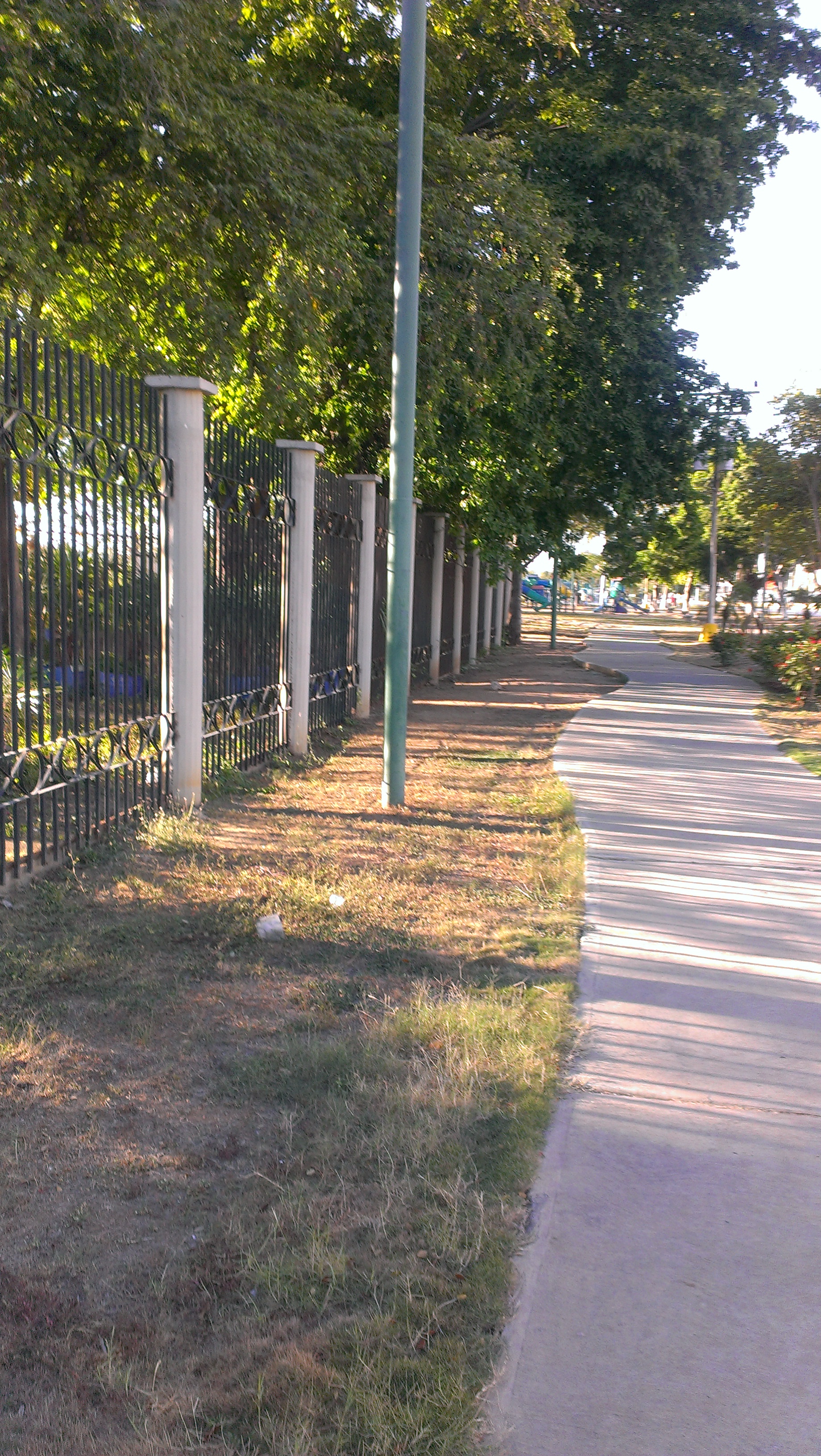 IMAG0317.jpg